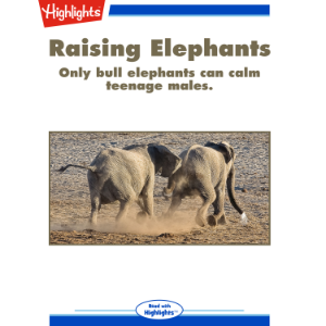 Raising Elephants