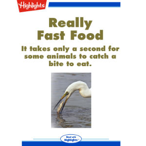 Really Fast Food