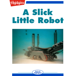 A Slick Little Robot