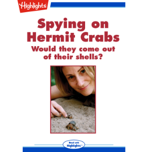 Spying on Hermit Crabs