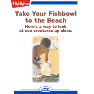 Take Your Fishbowl to the Beach