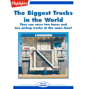 The Biggest Trucks in the World