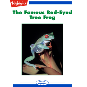The Famous Red-Eyed Tree Frog