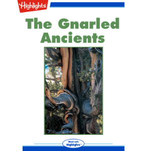 The Gnarled Ancients
