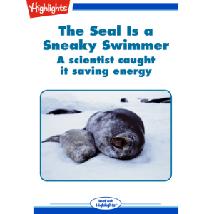 The Seal is a Sneaky Swimmer