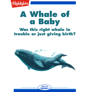 A Whale of a Baby