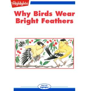 Why Birds Wear Bright Feathers