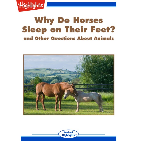 Why Do Horses Sleep on Their Feet? Listen to Podcasts On Demand Free