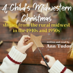 A Child's Midwestern Christmas