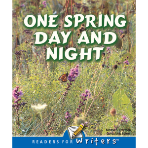 One Spring Day And Night