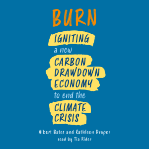 Burn-logo
