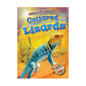 Collared Lizards