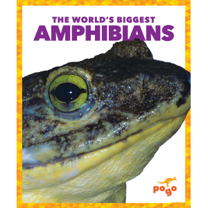 The World's Biggest Amphibians