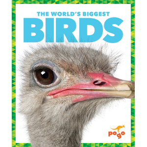 The World's Biggest Birds