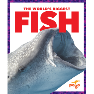 The World's Biggest Fish