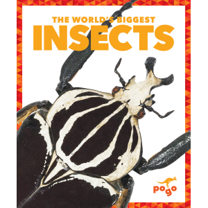 The World's Biggest Insects