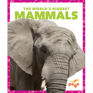 The World's Biggest Mammals