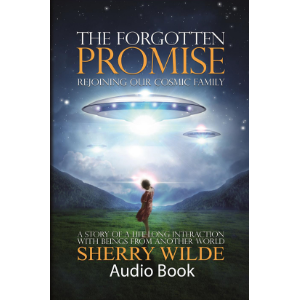 The Forgotten Promise