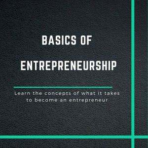 The Basics of Entrepreneurship