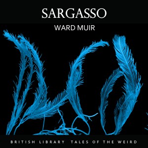 Sargasso