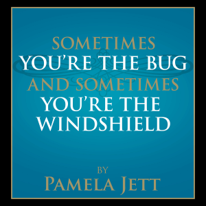 Sometimes You're the Bug and Sometimes You're the Windshield