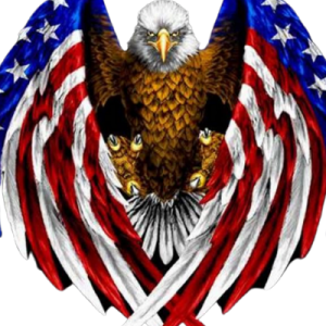 Patriot Underground