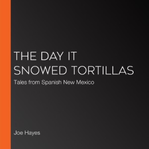The Day it Snowed Tortillas