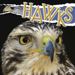 Hawks