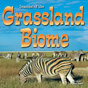 Seasons Of The Grassland Biome