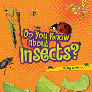 Do You Know about Insects?