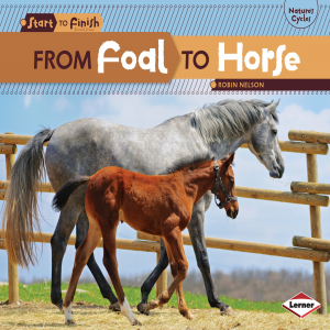 From Foal to Horse-logo