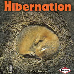 Hibernation-logo