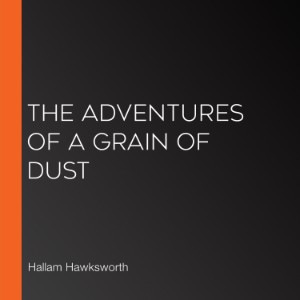 The Adventures of a Grain of Dust