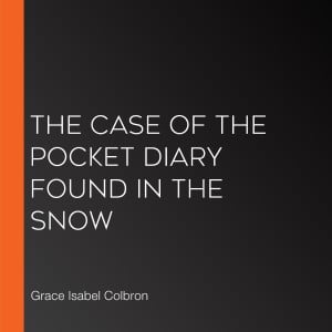 The Case of the Pocket Diary Found in the Snow