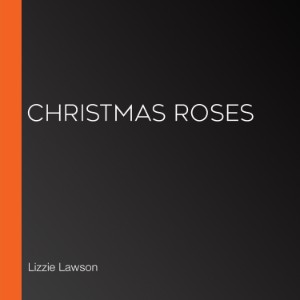 Christmas Roses