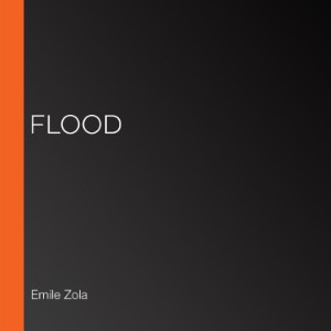 Flood-logo