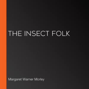 The Insect Folk