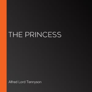 The Princess (Librovox)