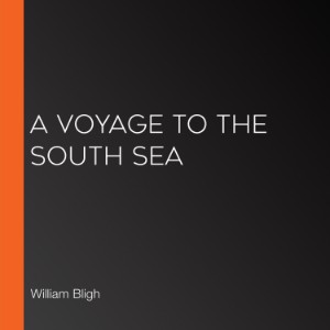 A Voyage to the South Sea