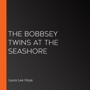 The Bobbsey Twins at the Seashore