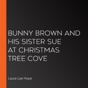 Bunny Brown and his Sister Sue at Christmas Tree Cove