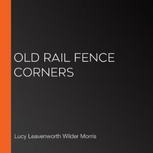 Old Rail Fence Corners