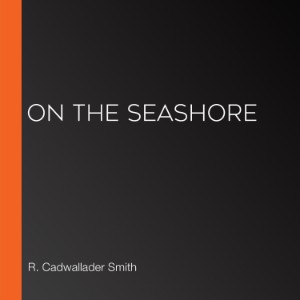 On The Seashore