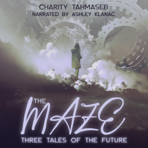 The Maze