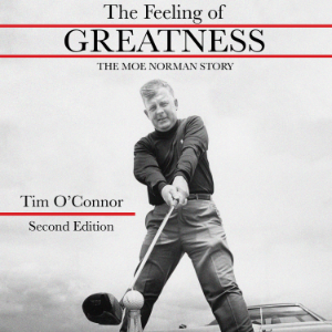 The Feeling of Greatness