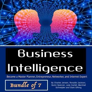 Business Intelligence