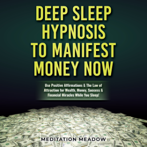 Deep Sleep Hypnosis to Manifest Money NOW