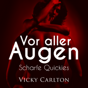 Vor aller Augen. Scharfe Quickies