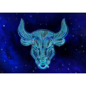 The Pig Bull Online Show. Bang Bang.