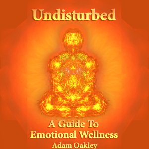Undisturbed: A Guide To Emotional Wellness-logo